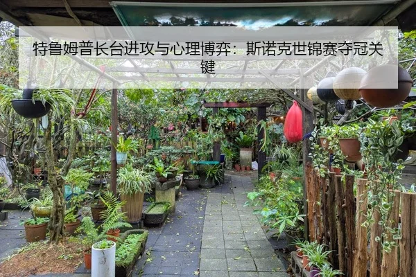 特鲁姆普长台进攻与心理博弈：斯诺克世锦赛夺冠关键