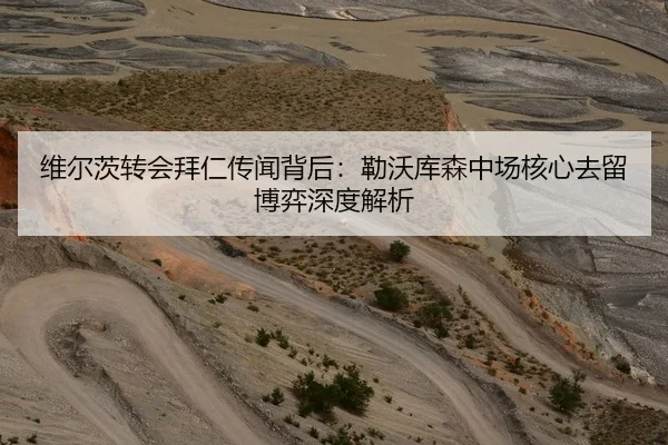 维尔茨转会拜仁传闻背后：勒沃库森中场核心去留博弈深度解析
