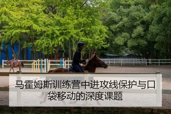 马霍姆斯训练营中进攻线保护与口袋移动的深度课题